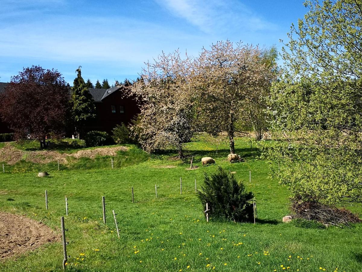 Pumphut'S Scheune Ferienwohnungen Nr 1 - 4 Naehe Freizeitpark Plohn Lengenfeld エクステリア 写真